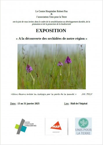 À la découverte des orchidées sauvages de notre région