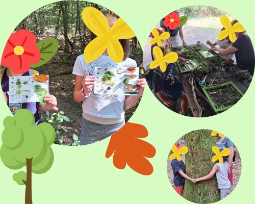 Bain de forêts pour kids