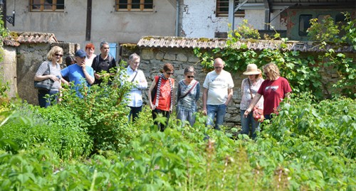 Visite guidée du Jardin des Faïenciers