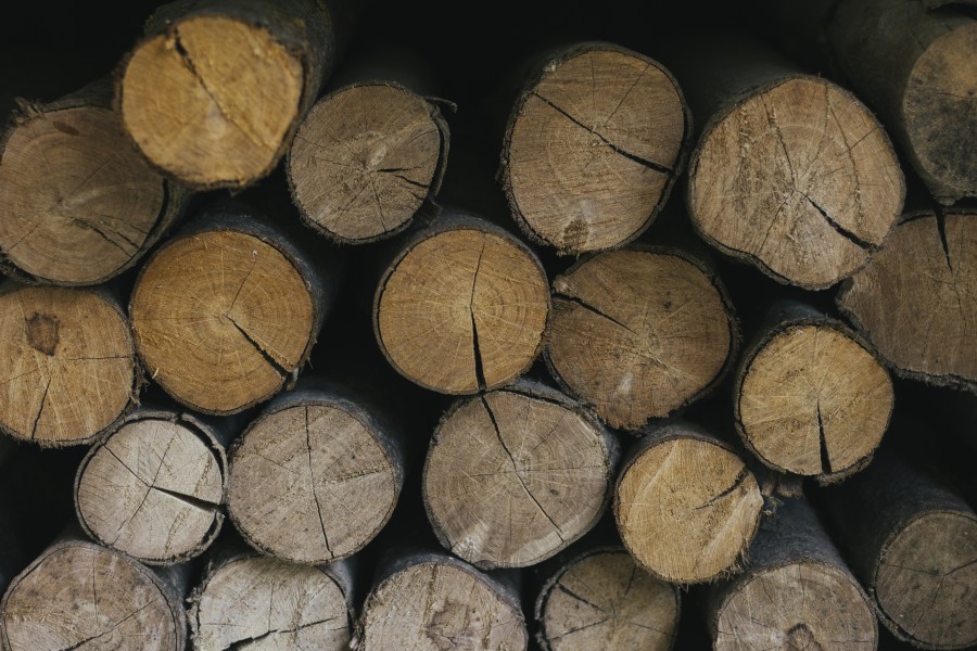 Vente de bois de chauffage le 19 novembre 2024