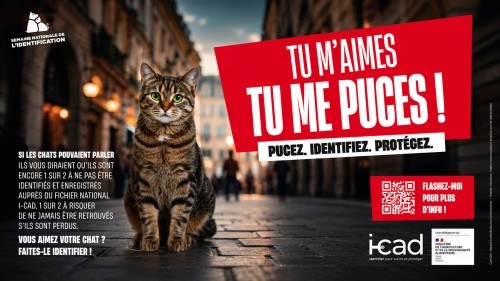 Semaine nationale de l'identification : "Tu m'aimes, tu me puces !"